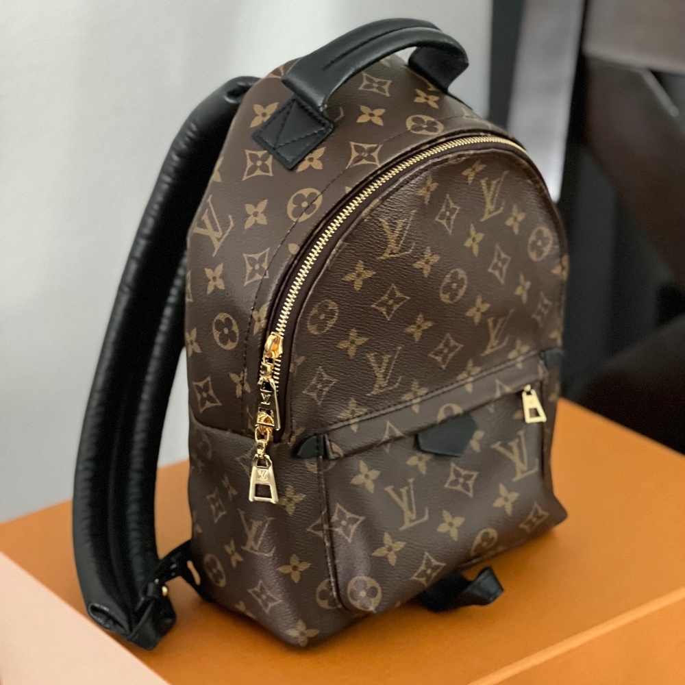 Louis Vuitton Palm Springs PM backpack